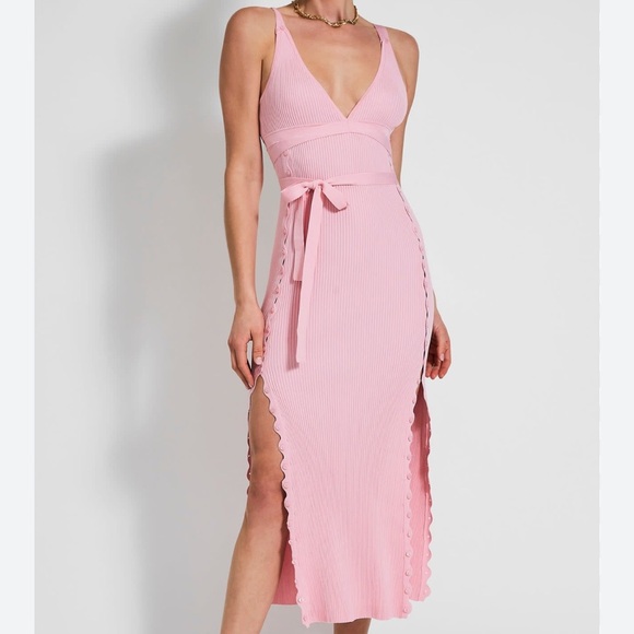 NWT DEVON WINDSOR OCTAVIA DRESS - Picture 1 of 3